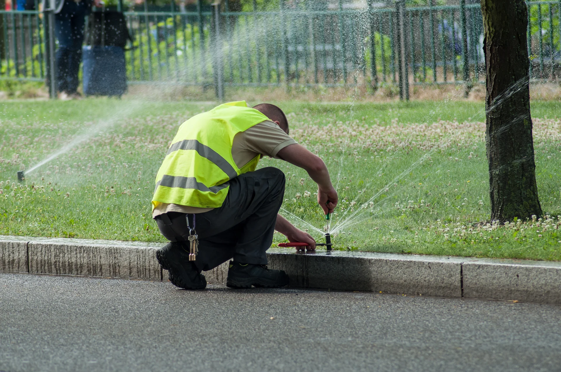 Perfectly adjusted sprinkler head watering a green lawn